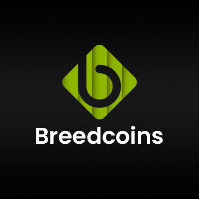 Metaverse Game Development Company | Breedcoins