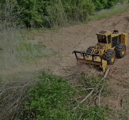 Morgan Texas Land Clearing Services