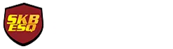 The Law Office of Steven K. Bloom