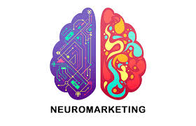 Neuro marketing