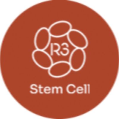 R3 Stem Cell Cancun