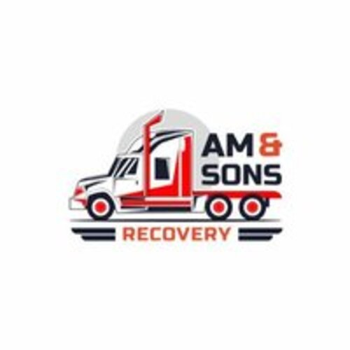 AM & SONS Recovery