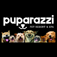 Puparazzi LA