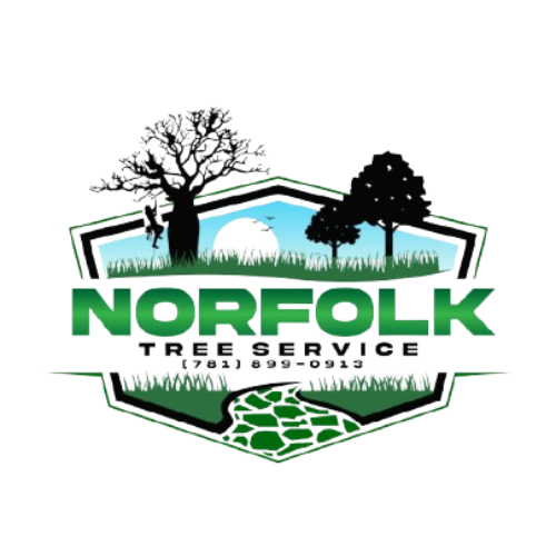 Norfolk Property Tree Service