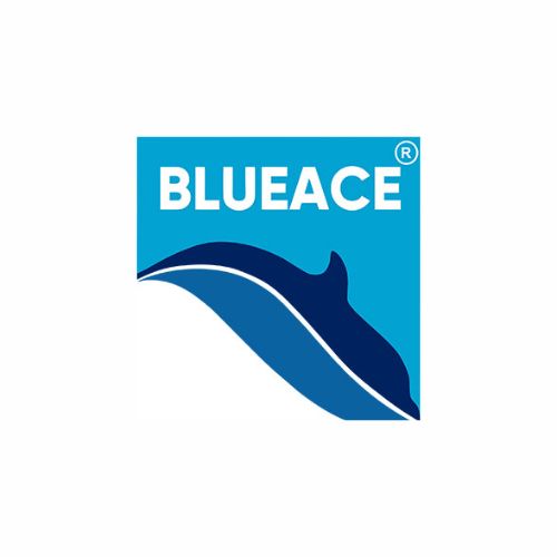 Blueace India Limited