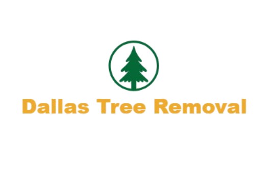 Dallas Tree Removal